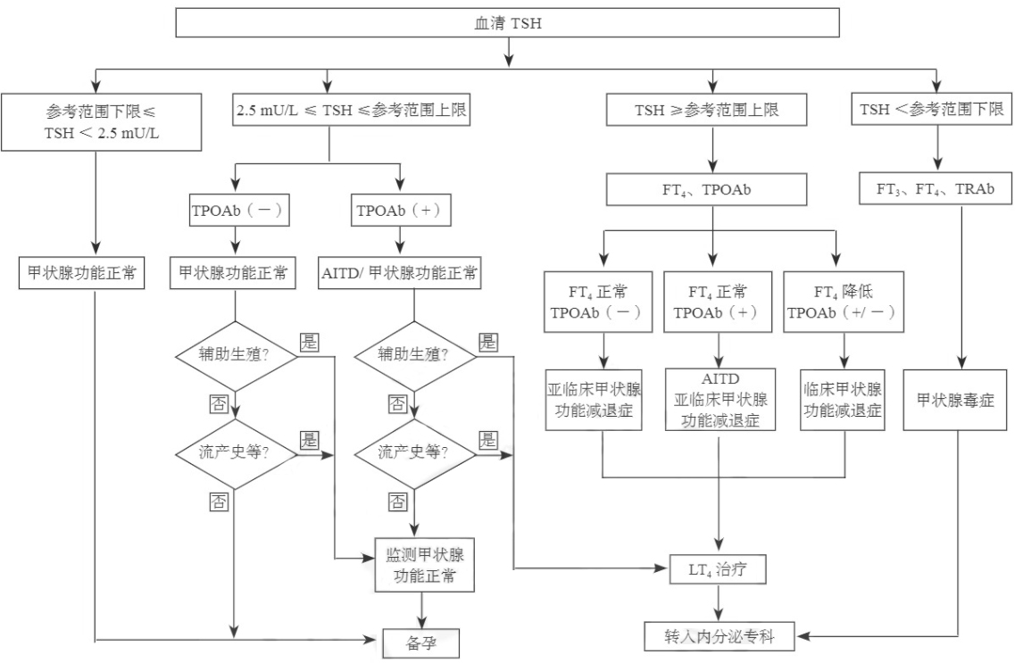 孕前血清TSH篩查、診斷和管理流程