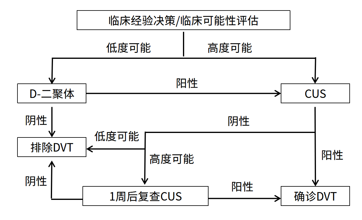 DVT綜合評(píng)估和診斷流程
