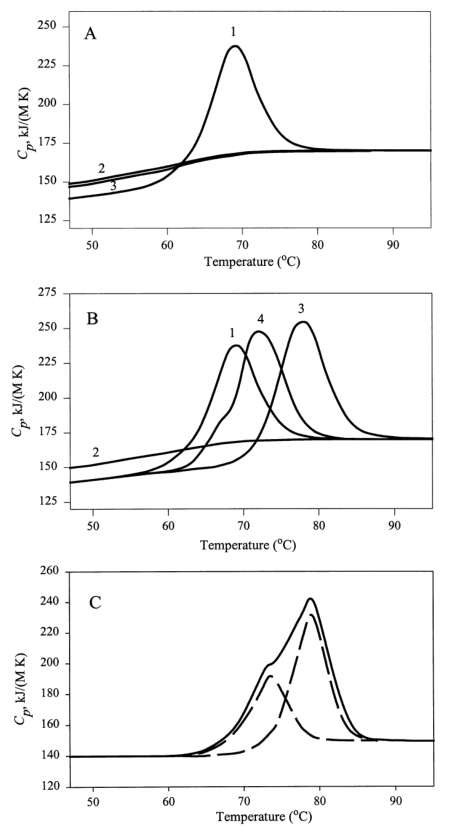 AFP偏摩爾熱容的溫度依賴性